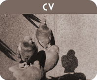 CV